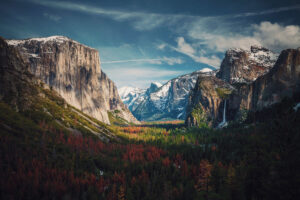 Mountain and forest panorama.