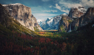 Mountain and forest panorama.